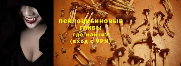 дмт Пролетарск