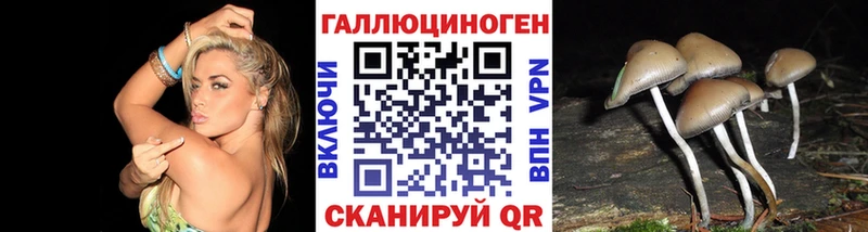 Галлюциногенные грибы Psilocybine cubensis Красавино